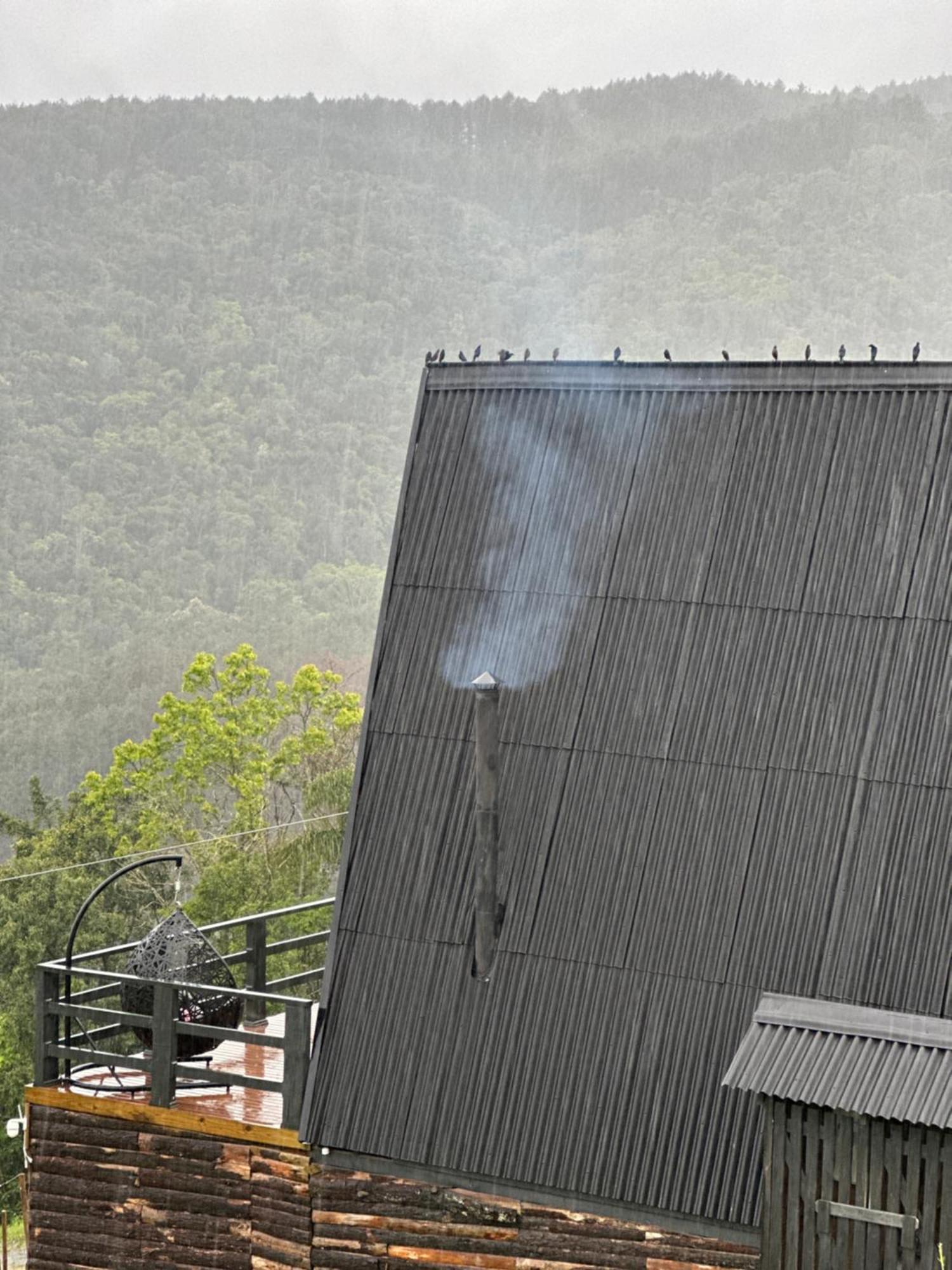 Chales O Refugio Alfredo Wagner Exteriör bild